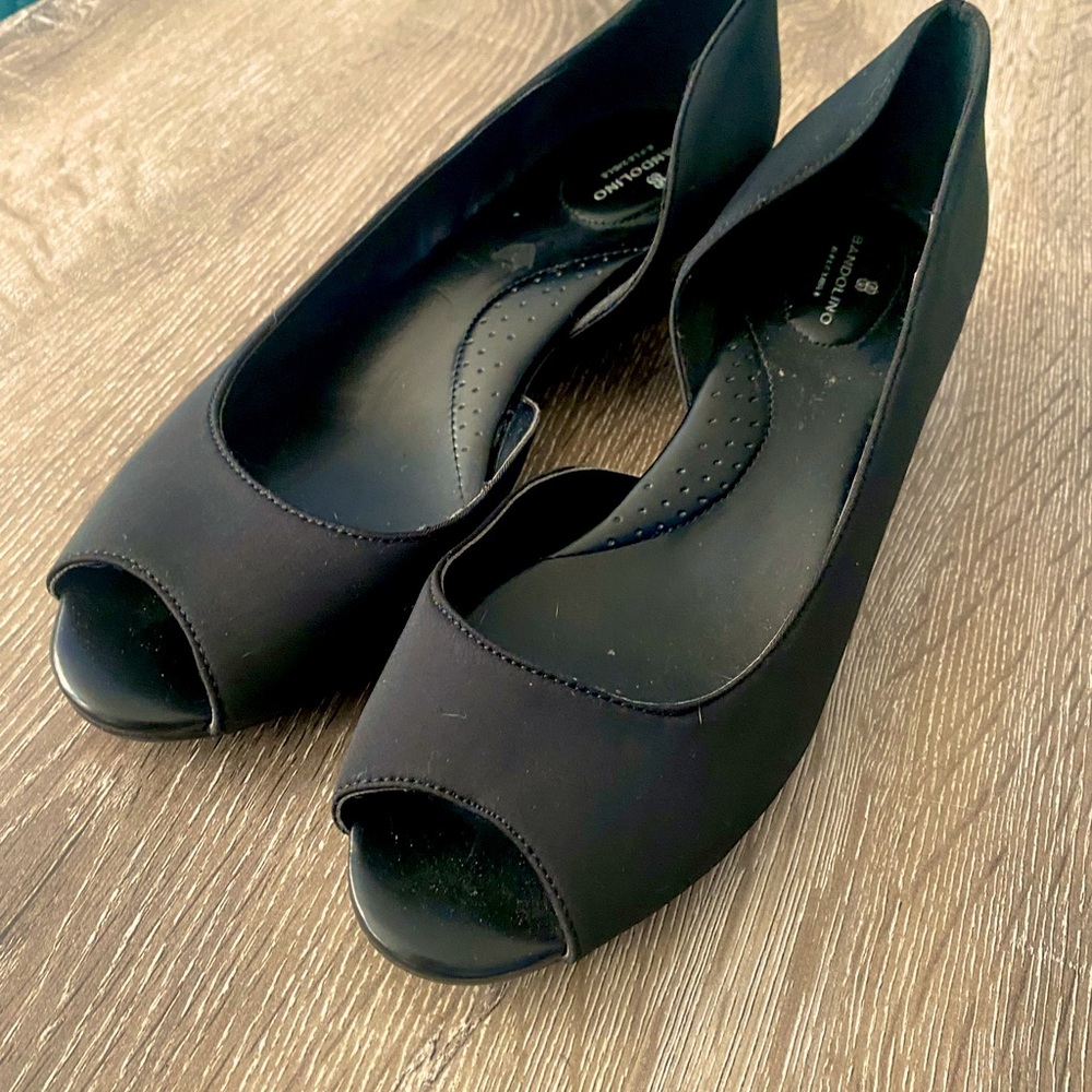 Bandalino Chandra Pump